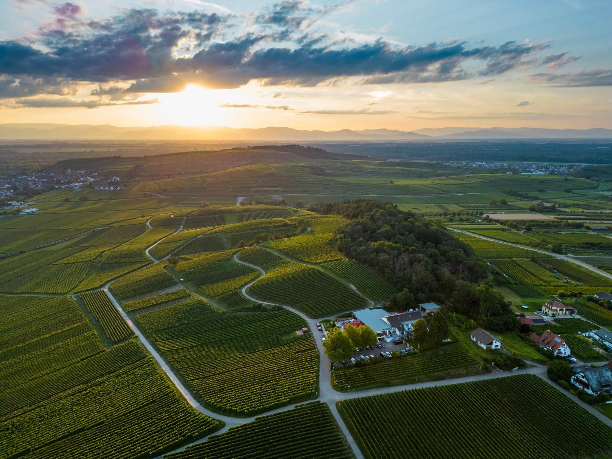 Koepfers Steinbuck Bischoffingen Exterior foto