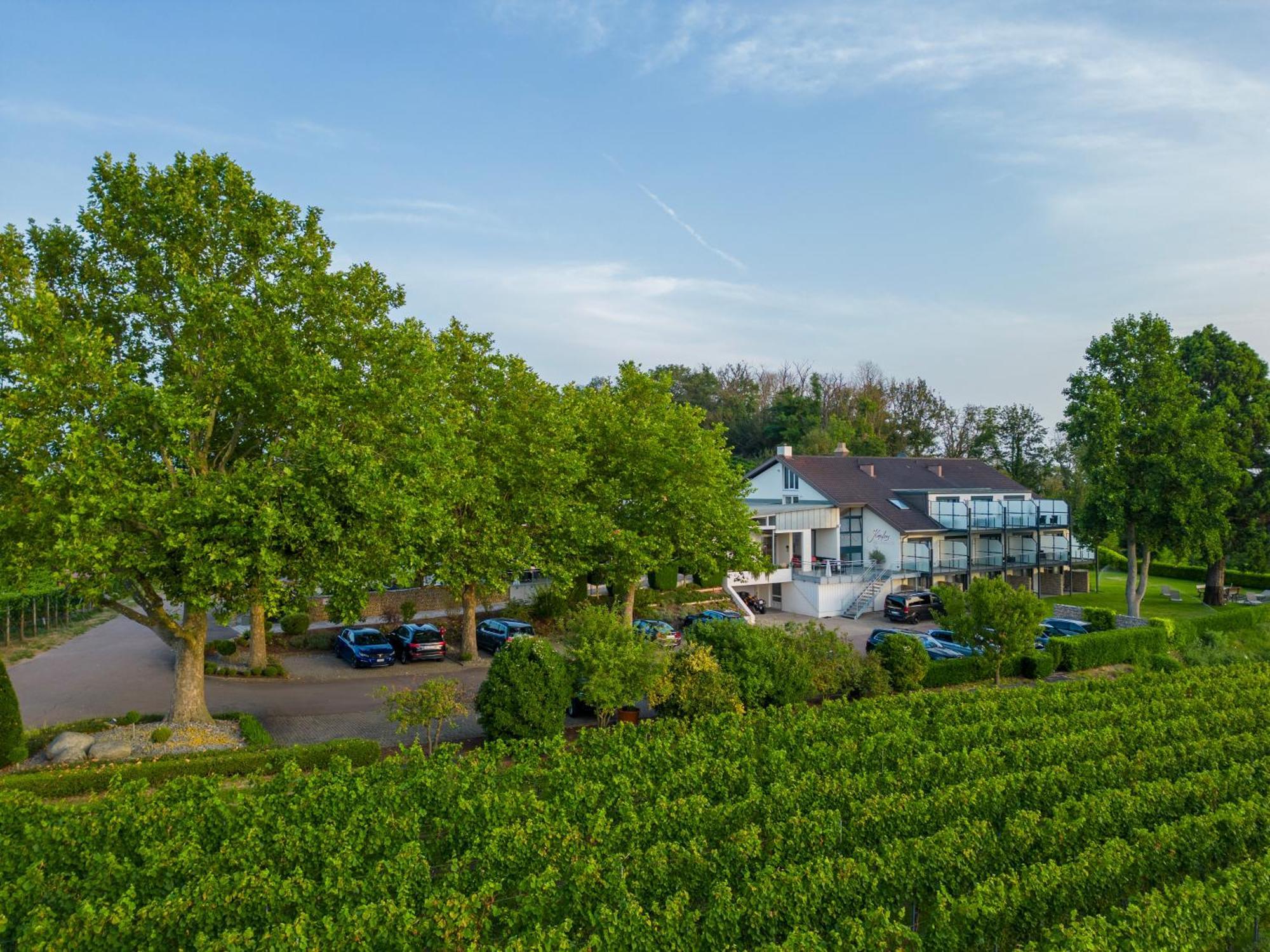 Koepfers Steinbuck Bischoffingen Exterior foto
